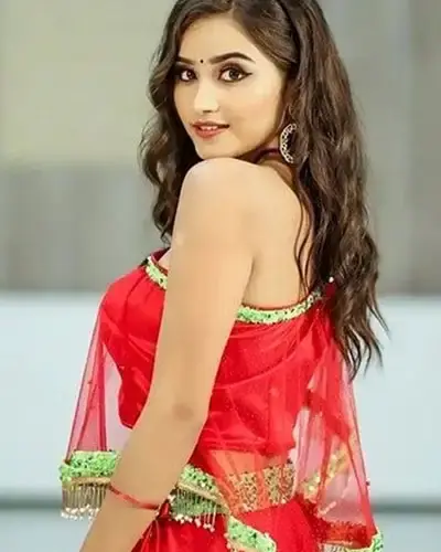 Escort In Khilchipur
